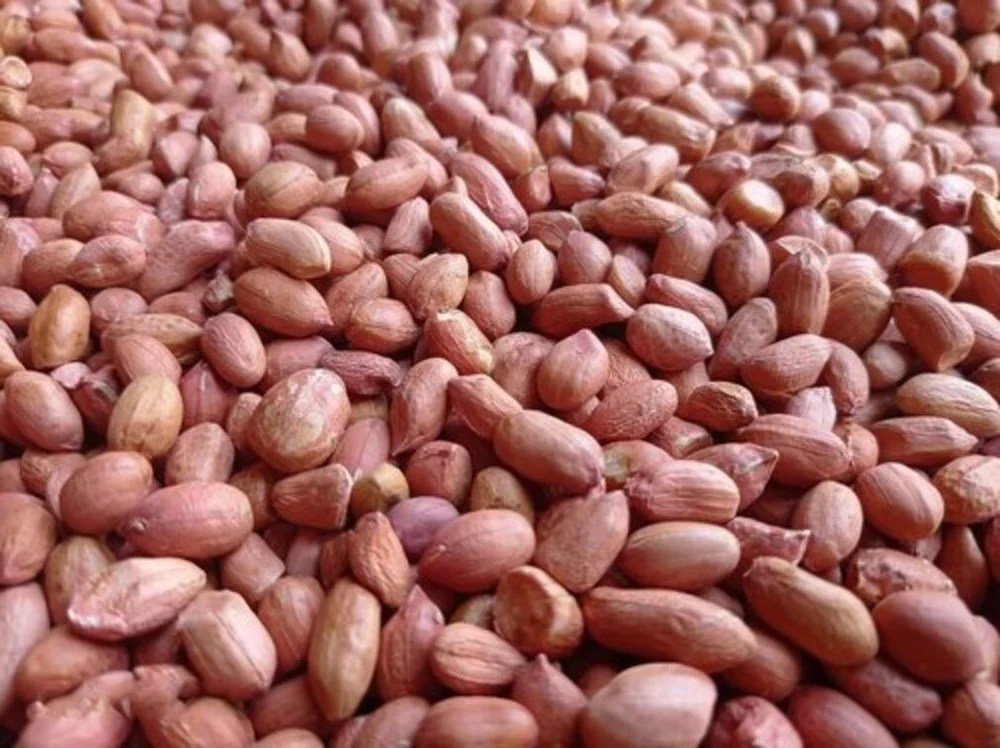 Understanding Seeds and Pseudorandomness in Java for Reproducible Random Numbers